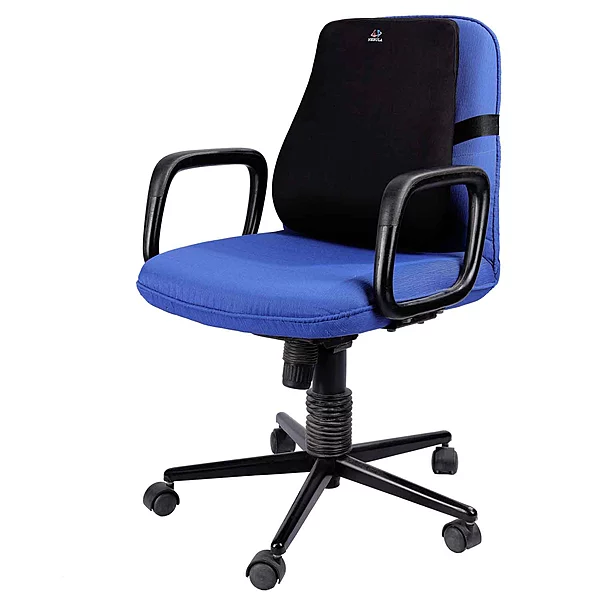 BACK REST